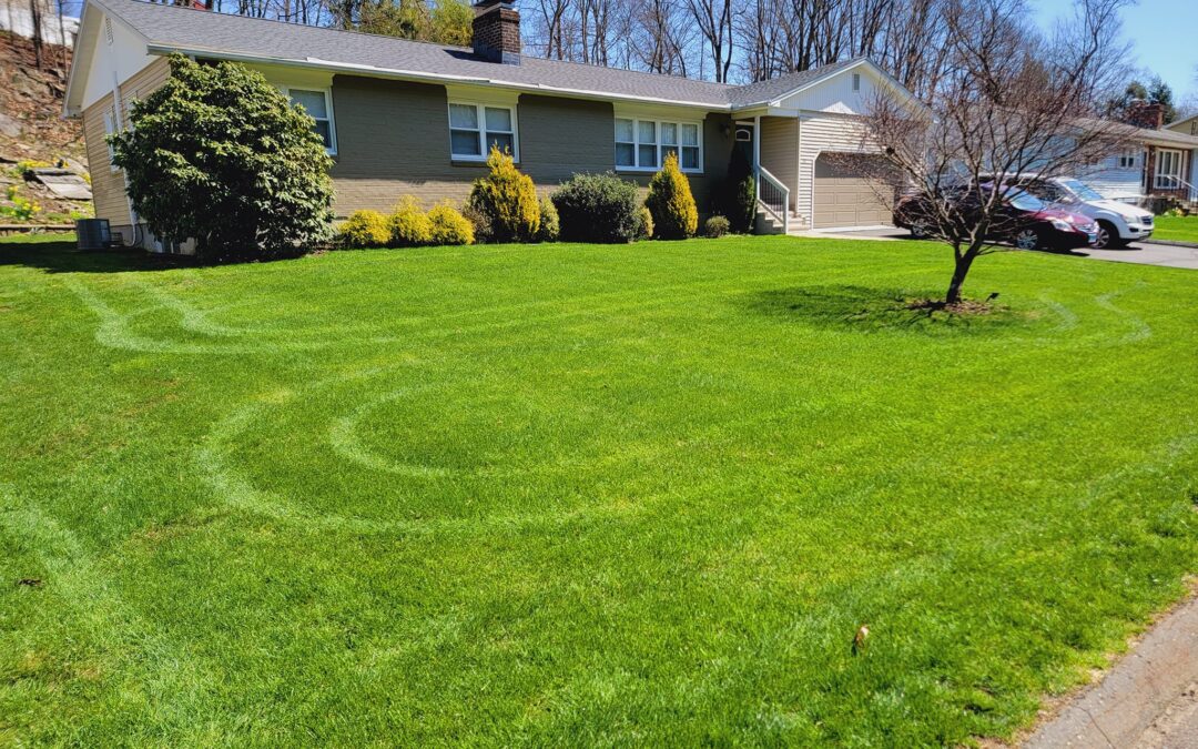 Affordable & Reliable Lawn Care MN Experts You Can Trust