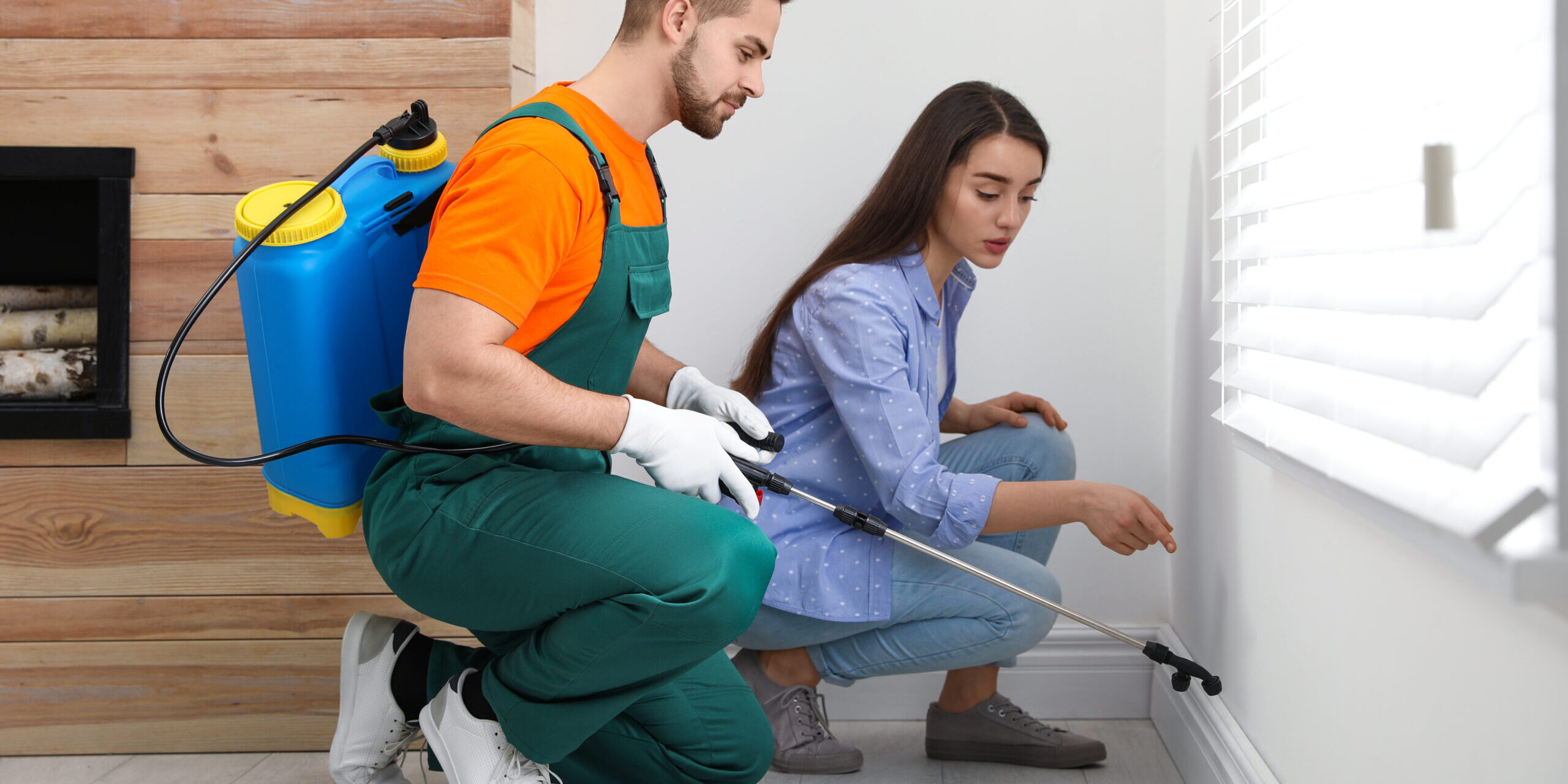 Reliable Bed Bug Chemical Treatment That Guarantees Results